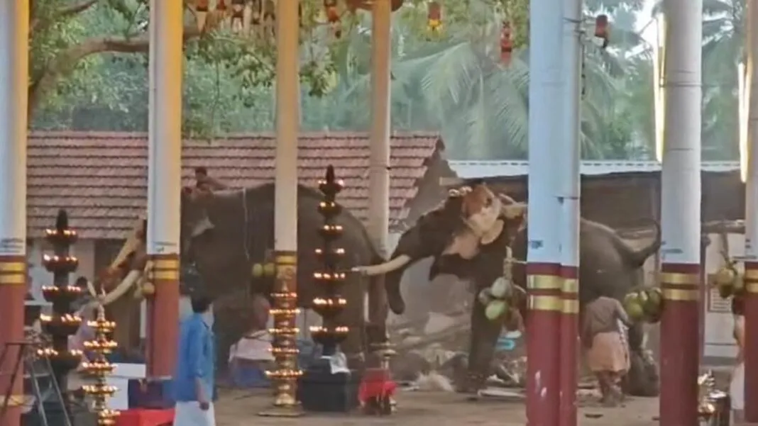 ମନ୍ଦିରରେ ଧାର୍ମିକ କାର୍ଯ୍ୟକ୍ରମ ବେଳେ ଦଳାଚକଟା ପରିସ୍ଥିତି ସୃଷ୍ଟି,୩ ଜଣଙ୍କର ମୃତ୍ୟୁ l ମନ୍ଦିରରେ ଧାର୍ମିକ କାର୍ଯ୍ୟକ୍ରମ ବେଳେ ଦଳାଚକଟା ପରିସ୍ଥିତି ସୃଷ୍ଟି,୩ ଜଣଙ୍କର ମୃତ୍ୟୁ l