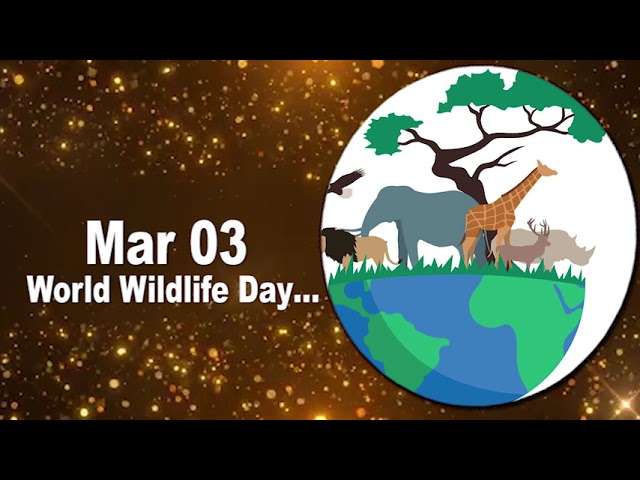 Mar 03 World Wildlife Day…