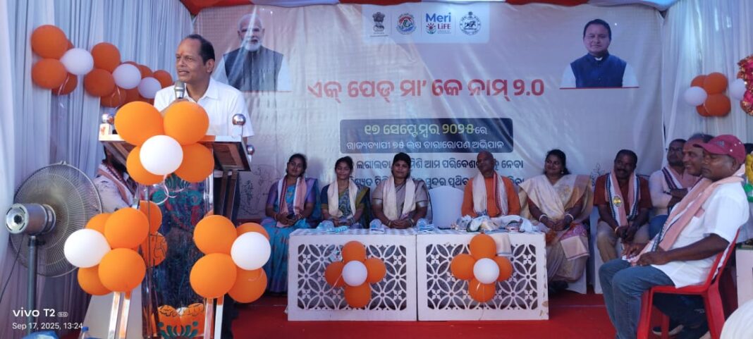 ବିଶ୍ଵକର୍ମା ପୁଜା ଓ ମାଙ୍କ ନାମରେ ଗୋଟେ ବୃକ୍ଷ ରୋପଣ କଲେ ସାଂସଦ, ବିଧାୟକ l